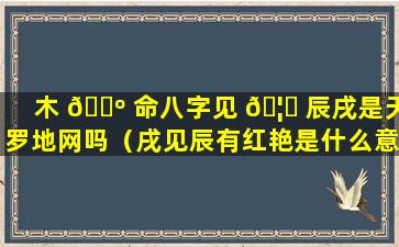 木 🌺 命八字见 🦈 辰戌是天罗地网吗（戌见辰有红艳是什么意思）